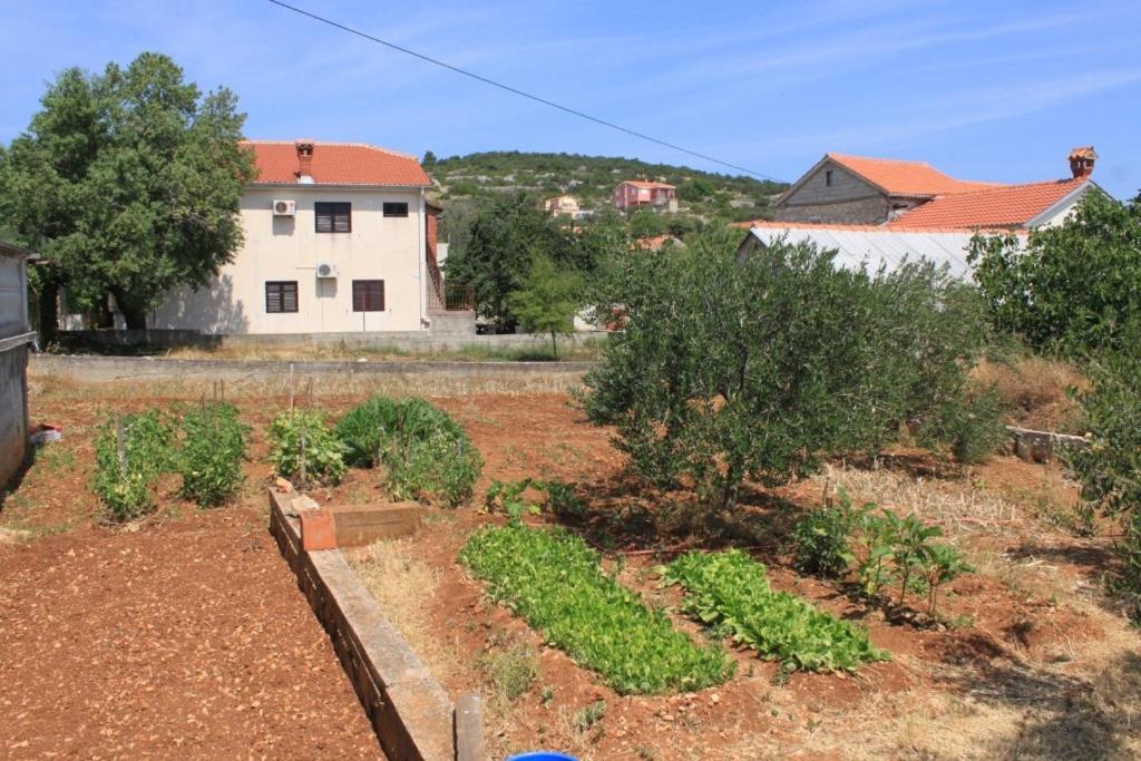 Apartments With A Parking Space Sali, Dugi Otok - 8172 外观 照片